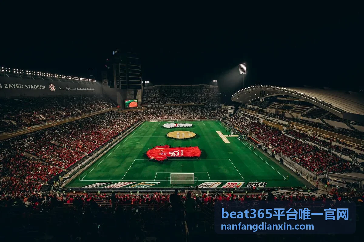 beat365平台最新资讯封面